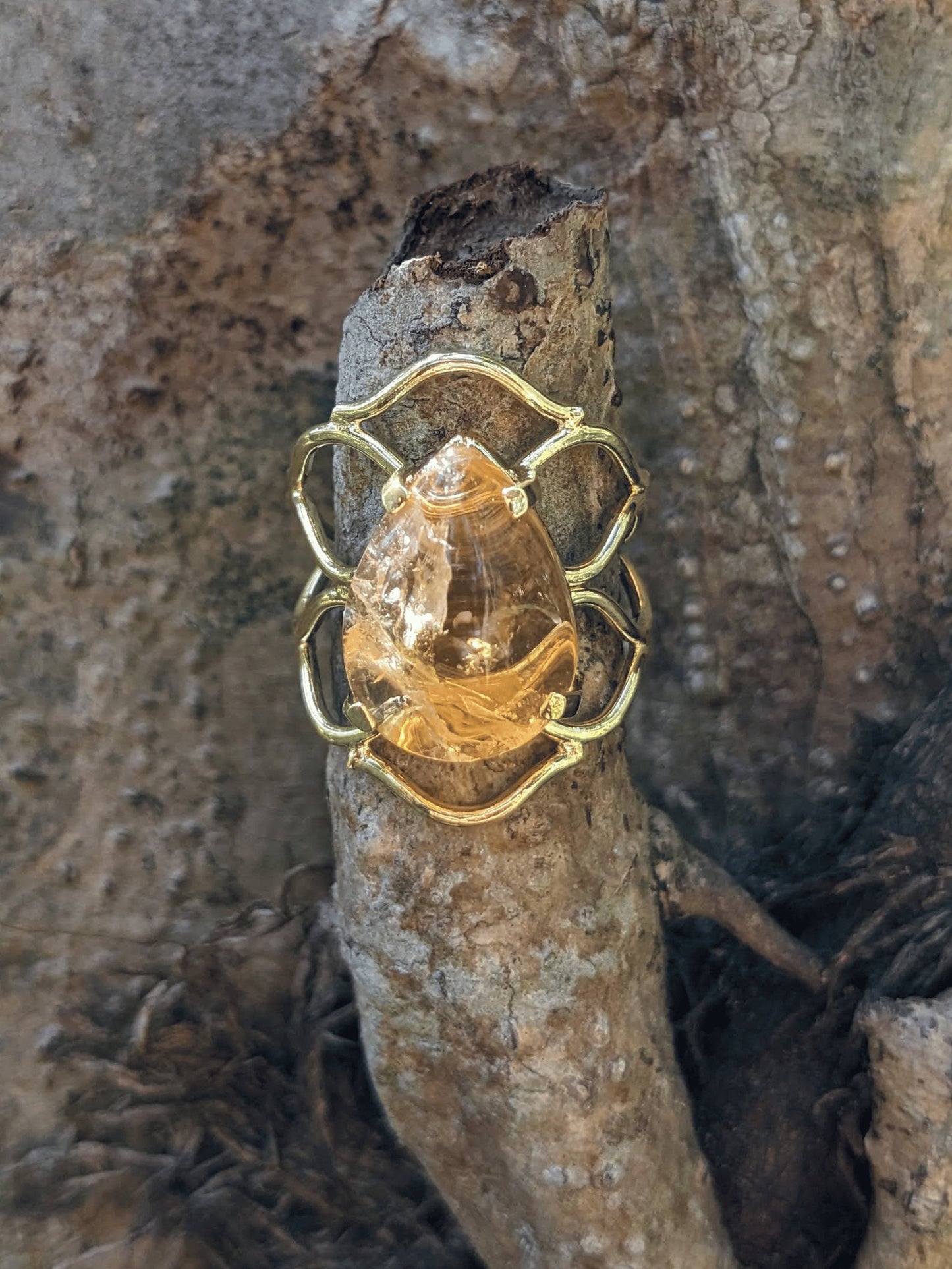 Nature's Braid Ring